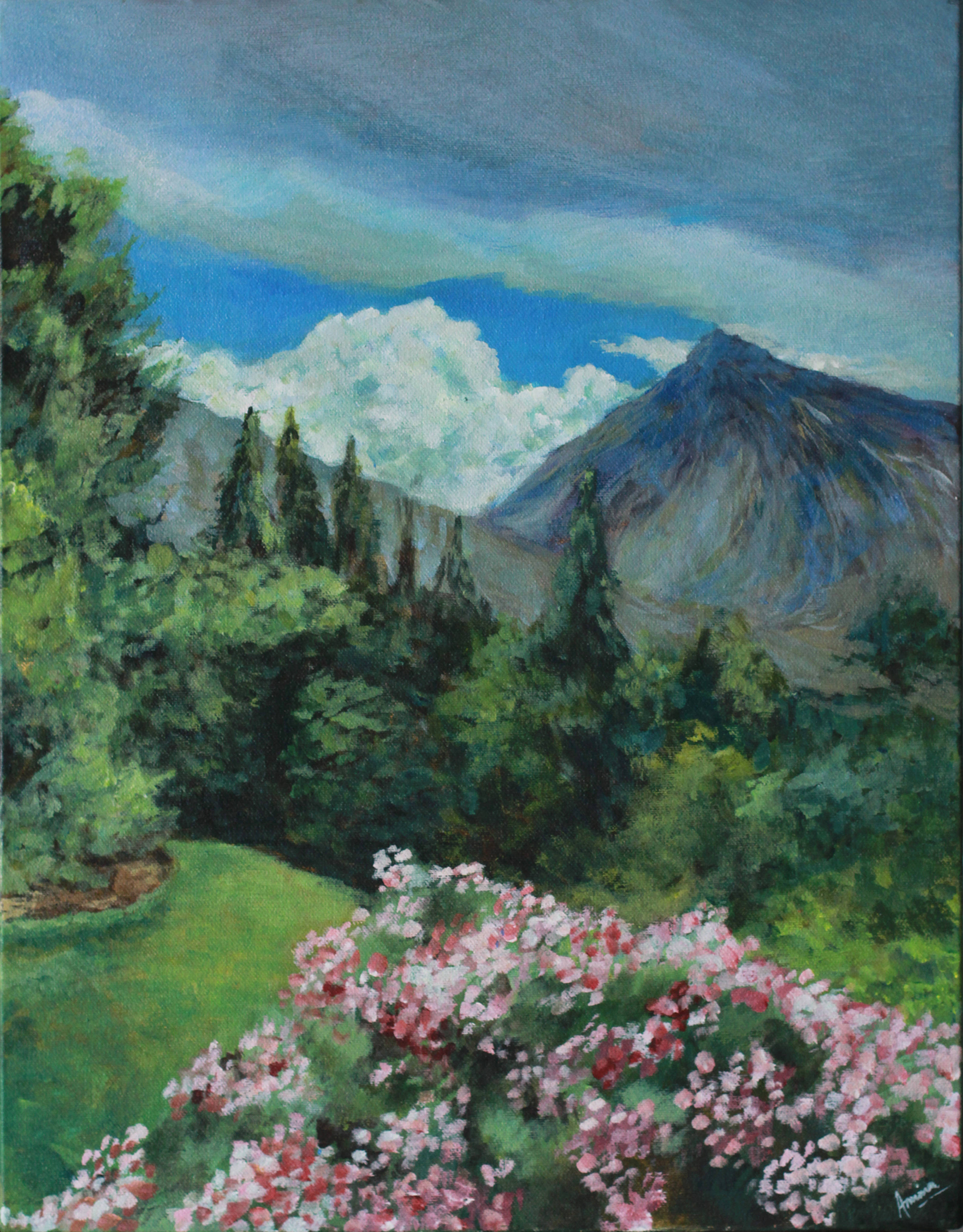 Chitral Landscape